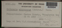 Image Associated With the Occurence